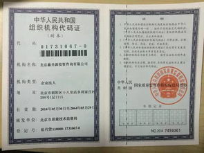 從一萬到三十萬的躍遷 揭秘北京信息技術(shù)咨詢服務(wù)的財富密碼